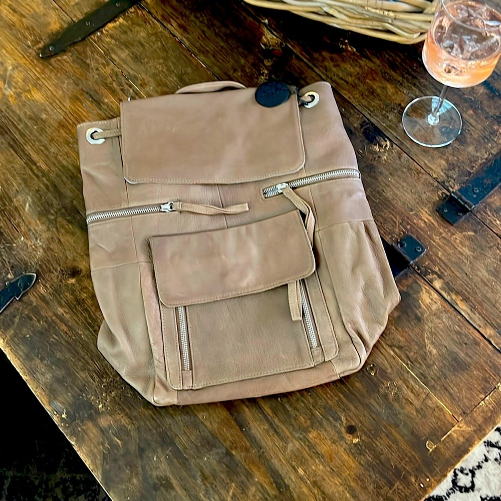 Day and Mood back pack purse